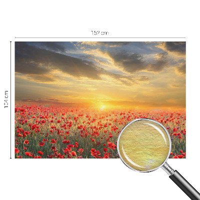 Bedroom wall mural wallpaper Poppy field