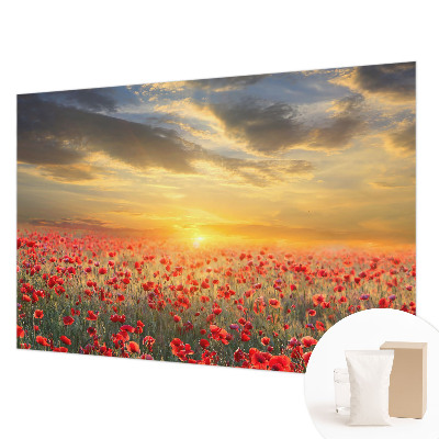 Bedroom wall mural wallpaper with a poppy field motif