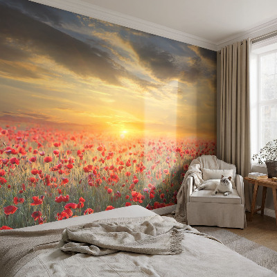 Bedroom wall mural wallpaper Poppy field