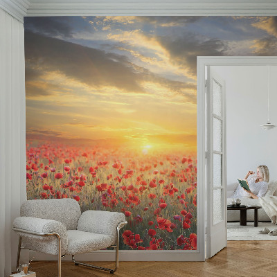 Bedroom wall mural wallpaper with a poppy field motif