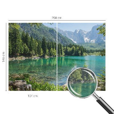 Large wall mural wallpaper featuring a green lake scene