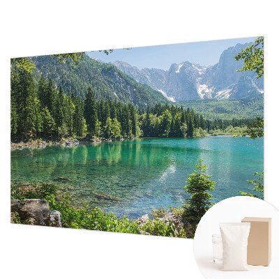 Large wall mural wallpaper featuring a green lake scene