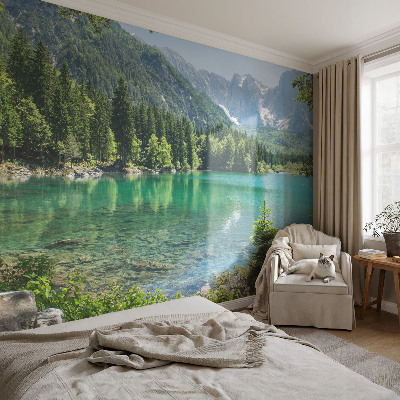Large wall mural wallpaper featuring a green lake scene