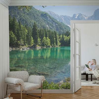 Large wall mural wallpaper featuring a green lake scene