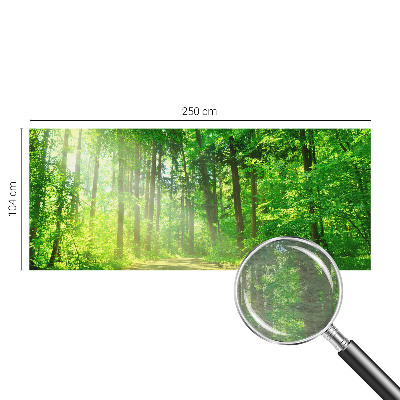 Large wall mural Forest path