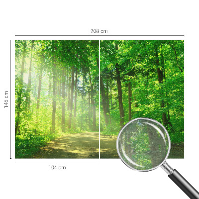 Large wall mural featuring a forest path scene