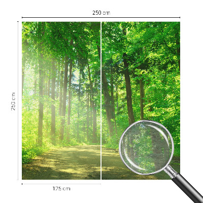 Large wall mural featuring a forest path scene