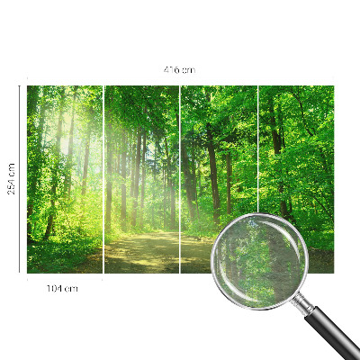 Large wall mural featuring a forest path scene