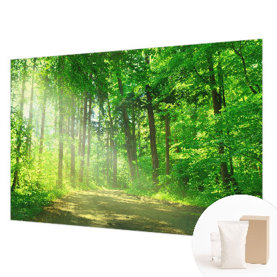 Large wall mural featuring a forest path scene