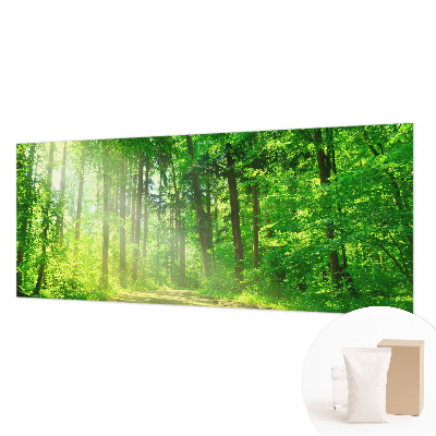 Large wall mural featuring a forest path scene
