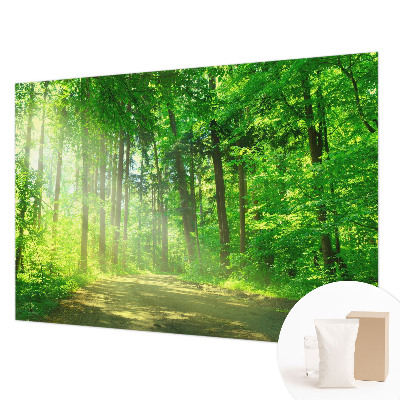 Large wall mural Forest path