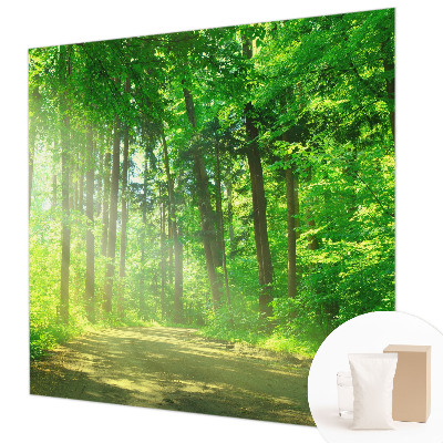 Large wall mural featuring a forest path scene