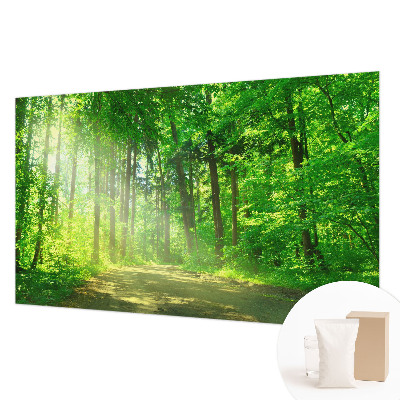 Large wall mural featuring a forest path scene