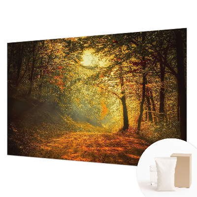 Custom size wall mural featuring an autumn landscape