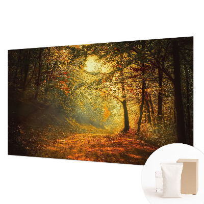 Custom size wall mural featuring an autumn landscape