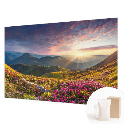Large wallpaper mural with a mountain panorama design