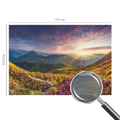 Large wallpaper mural with a mountain panorama design