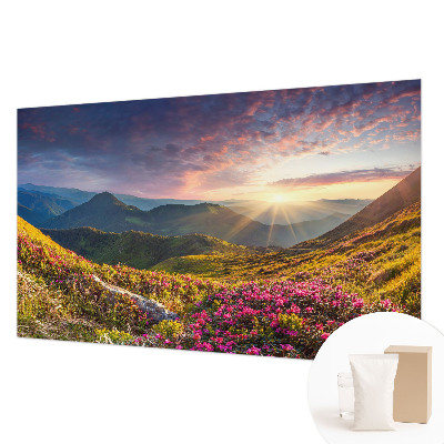 Large wallpaper mural with a mountain panorama design