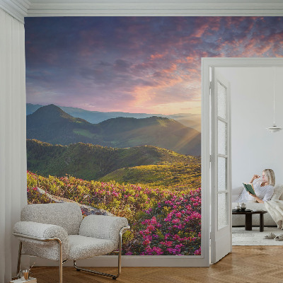Large wallpaper mural Mountain panorama