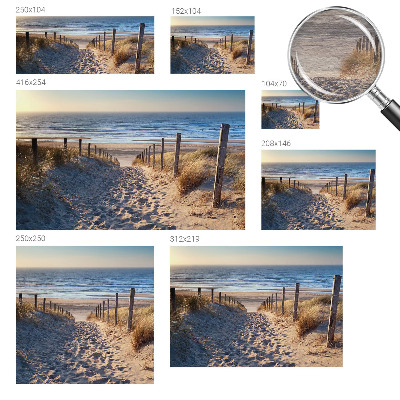 Modern wall mural featuring a beach path scene