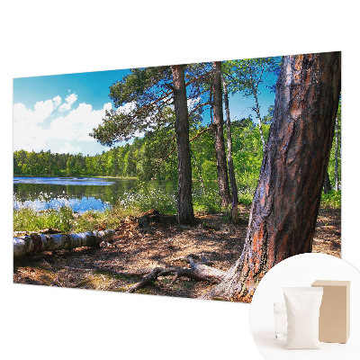 Modern wall mural for living room with a forest landscape