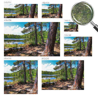 Modern wall mural for living room Forest landscape