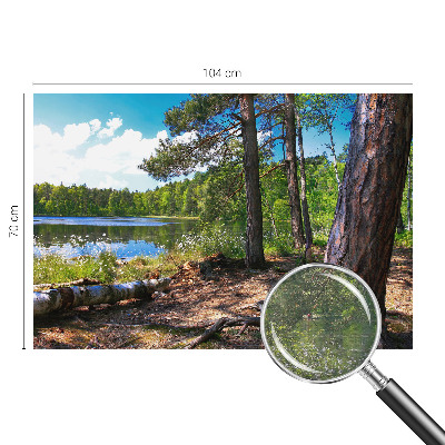 Modern wall mural for living room Forest landscape