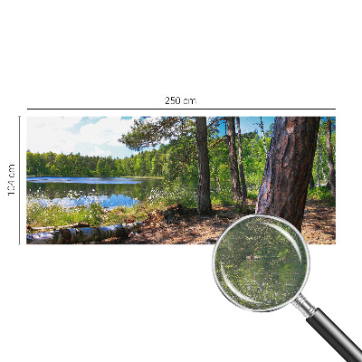 Modern wall mural for living room Forest landscape