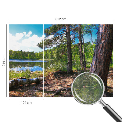 Modern wall mural for living room with a forest landscape
