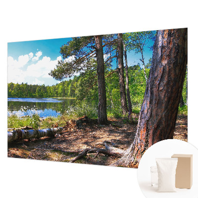 Modern wall mural for living room with a forest landscape