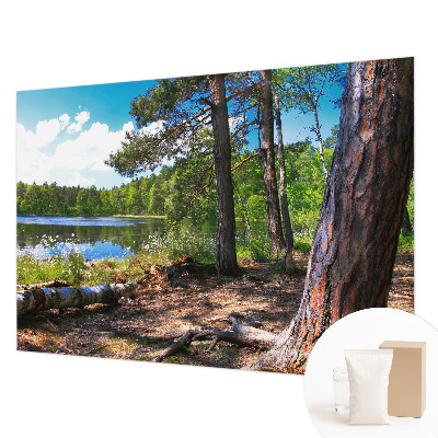 Modern wall mural for living room with a forest landscape