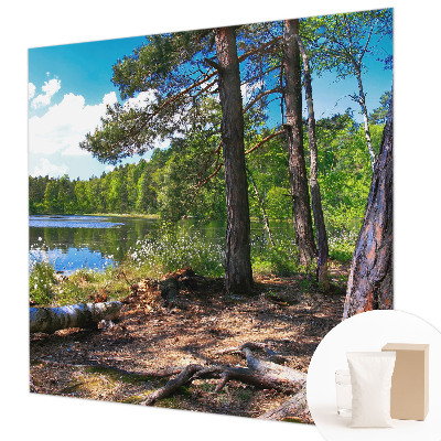 Modern wall mural for living room with a forest landscape