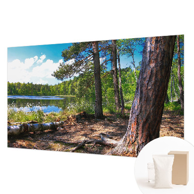 Modern wall mural for living room with a forest landscape