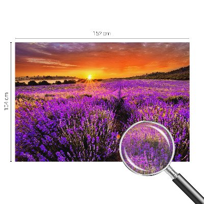 Wallpaper mural for living room Lavender Sunset