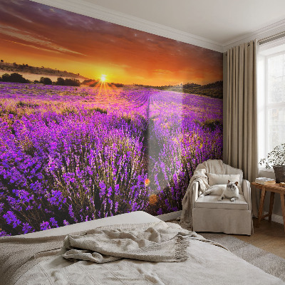 Wallpaper mural for living room Lavender Sunset
