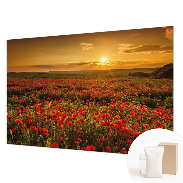 High quality wall mural wallpaper with a poppy field design