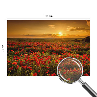 High quality wall mural wallpaper with a poppy field design