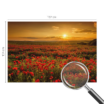 High quality wall mural wallpaper with a poppy field design