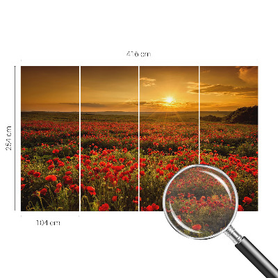 High quality wall mural wallpaper with a poppy field design