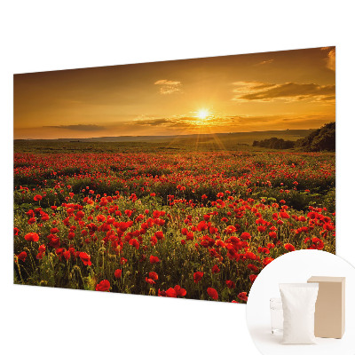 High quality wall mural wallpaper with a poppy field design