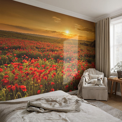 High quality wall mural wallpaper with a poppy field design