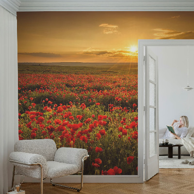High quality wall mural wallpaper Poppy field