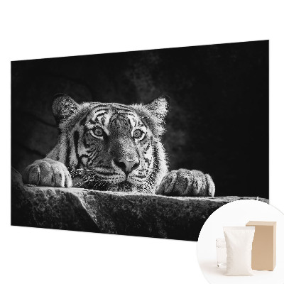 Modern wall mural Predatory look