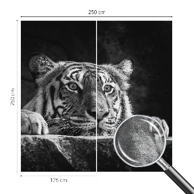 Modern wall mural Predatory look