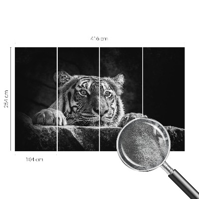 Modern wall mural Predatory look
