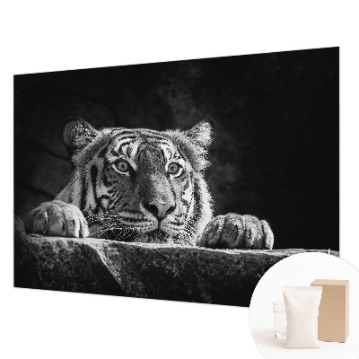 Modern wall mural Predatory look