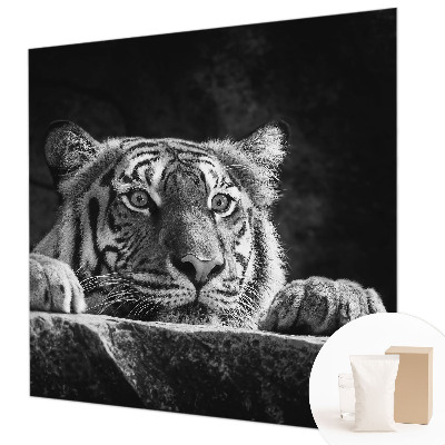 Modern wall mural with a predatory gaze