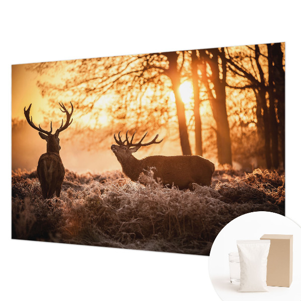 High quality photo wallpaper featuring a deer in the morning