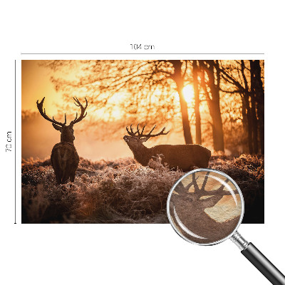 High quality photo wallpaper featuring a deer in the morning
