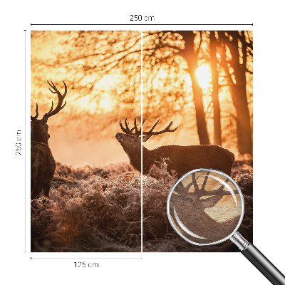 High quality photo wallpaper featuring a deer in the morning